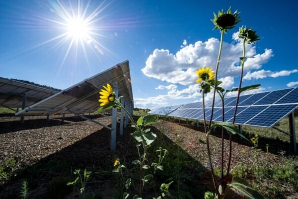What is renewable energy?
